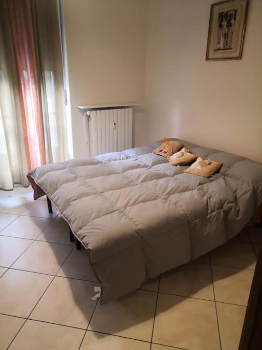Alloggio Carla Asti Zewnętrze zdjęcie